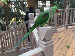 -南宫五洲植物乐园