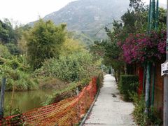 -南丫岛