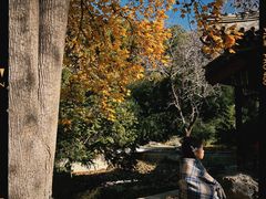 -国家植物园南园