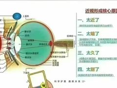 -宝视达眼镜(周口市广场店)
