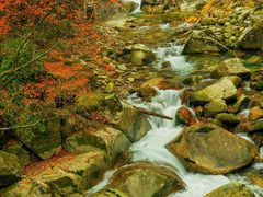 -光雾山旅游景区