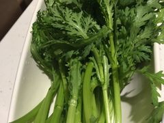 -海底捞火锅(高科广场店)