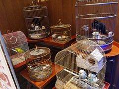 -老江南春·中国龙菜(衡山路店)