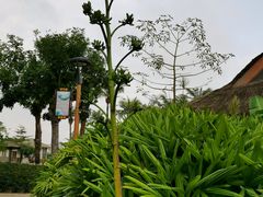 -霞山观海长廊