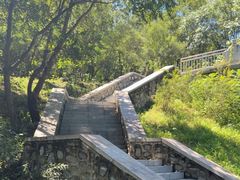 -白水寺森林公园