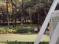 -荔香公园