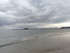 -东郊椰林