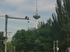 -辽宁电视塔
