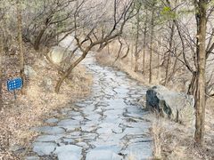 -阳台山自然风景区