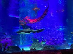 -沈阳海洋探索中心