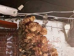 -不舍昼夜咖啡馆
