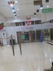 -单色舞蹈
