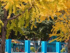 -四川大学(望江校区)