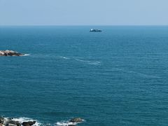 -广东惠东海龟国家级自然保护区