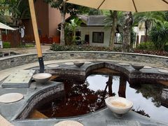 -碧水湾温泉