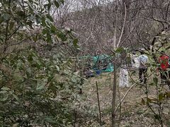 -南山风景名胜区