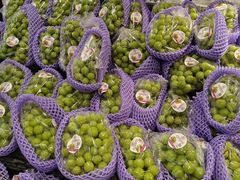 -AEON永旺(东方宝泰店)