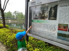 -白洋淀景区