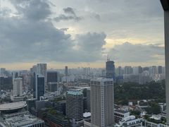 -新加坡瑞士史丹福酒店