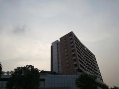 -元素自助餐厅·生蚝·海鲜·刺身(萝岗汇华希尔顿逸林酒店)