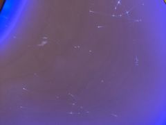 -新华文创·光的空间