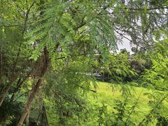 -武吉知马自然保护区