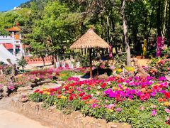 -沂蒙山旅游区云蒙景区(蒙山国家森林公园)