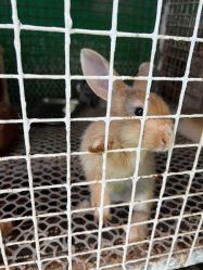 -可可天空农场(中大店)