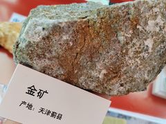 -天津自然博物馆