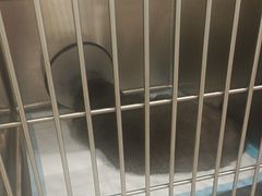 -艾吉宠物医院·疑难杂症转诊中心·猫友好(碧江路院)