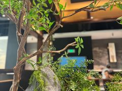 -滇铺子·云南特色菜·鲜花野菜季(曲靖万达店)