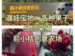 -前小桔亲子创意农场·草莓采摘·露营烧烤