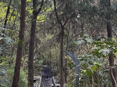 -云龙山