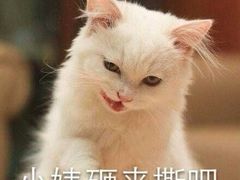 -比尔斯健康烤肉自助餐厅