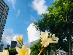 -南方医科大学深圳医院