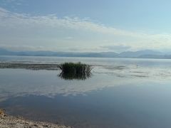 -洱海月湿地公园