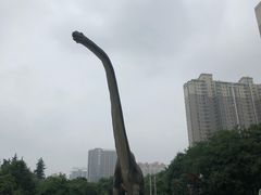 -陕西自然博物馆