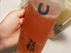 -春丽小马(济南恒隆广场店)