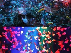 -成都浩海立方海洋公园