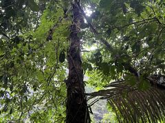 -通灵大峡谷