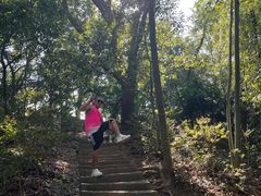 -上海佘山国家森林公园天马山园