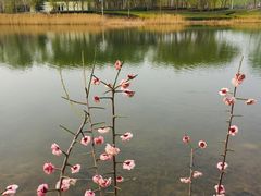 -郭记老汉口热干面