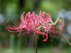 -白塘生态植物园