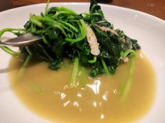 清炒鸡毛菜-香浙汇(望京店)