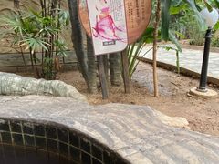 -龙达温泉生态城