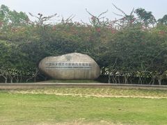 -中国科学院西双版纳热带植物园