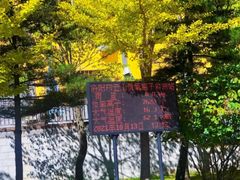 -洛阳白云山景区