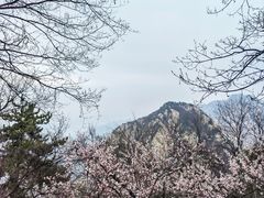 -华山风景名胜区