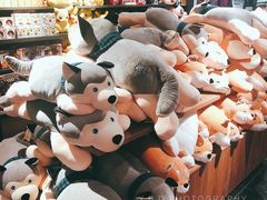 -酷乐潮玩(五道口购物中心店)