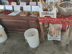 -马陆小张葡萄园农家乐